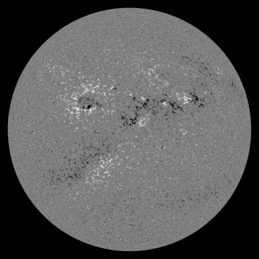Solar Magnetic Fields
