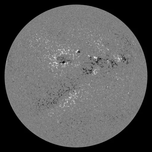 Solar Magnetic Fields