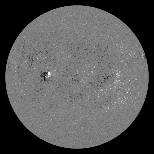 Solar Magnetic Fields