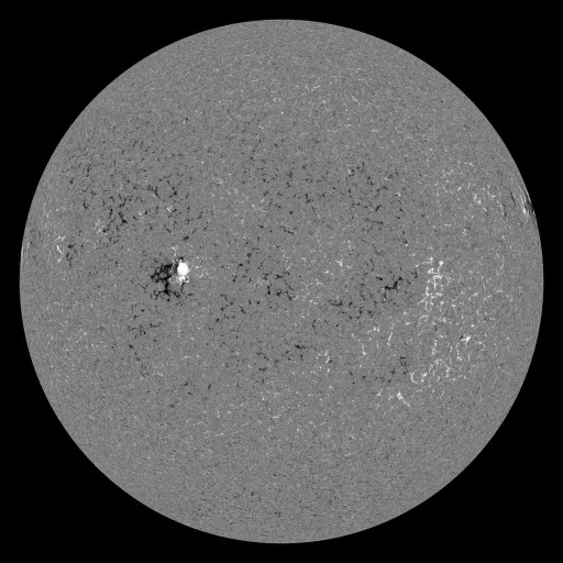 Solar Magnetic Fields