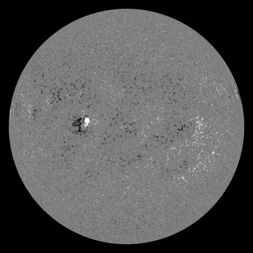 Solar Magnetic Fields