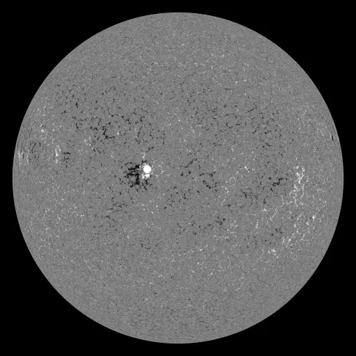 Solar Magnetic Fields