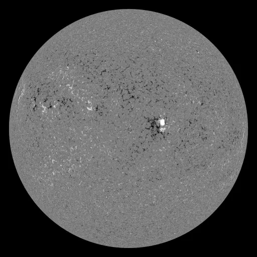 Solar Magnetic Fields