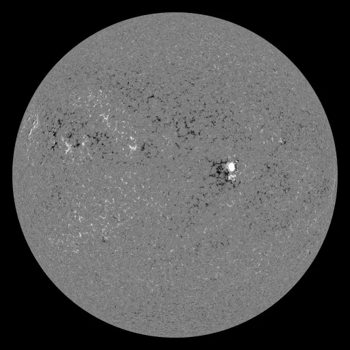 Solar Magnetic Fields