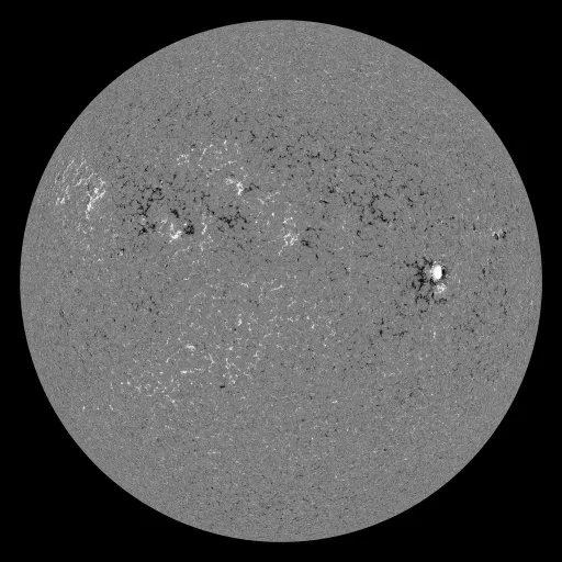 Solar Magnetic Fields