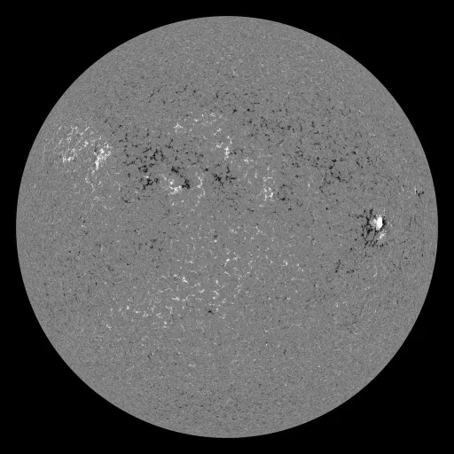 Solar Magnetic Fields