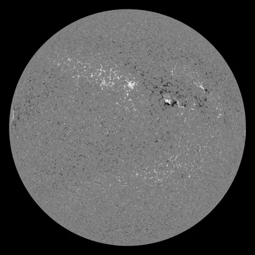 Solar Magnetic Fields