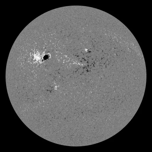 Solar Magnetic Fields