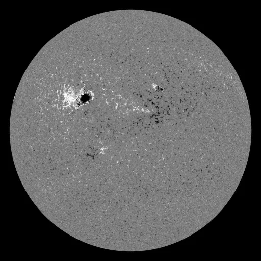 Solar Magnetic Fields