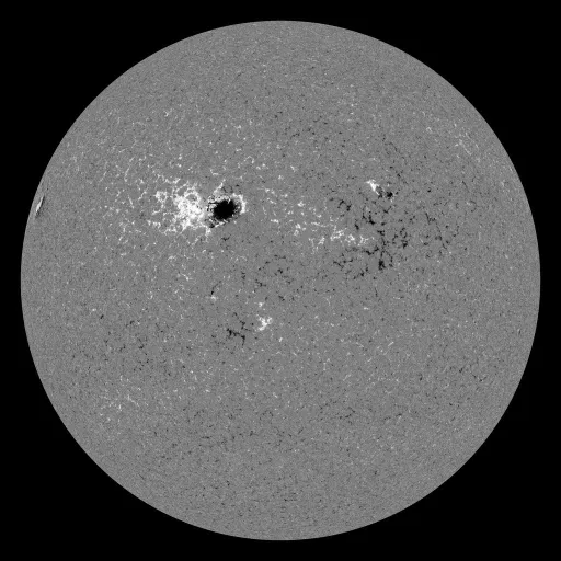 Solar Magnetic Fields