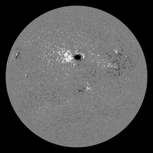 Solar Magnetic Fields