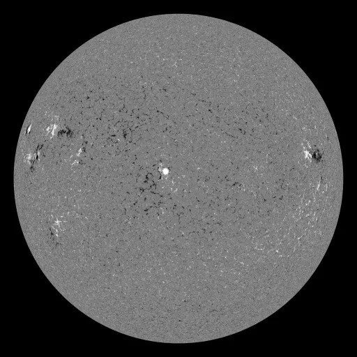 Solar Magnetic Fields