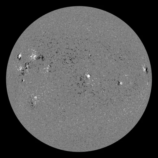 Solar Magnetic Fields
