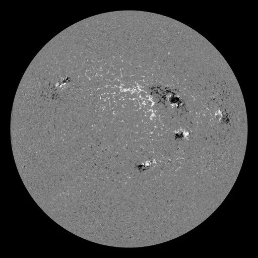 Solar Magnetic Fields