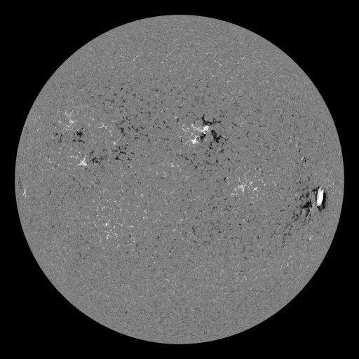 Solar Magnetic Fields