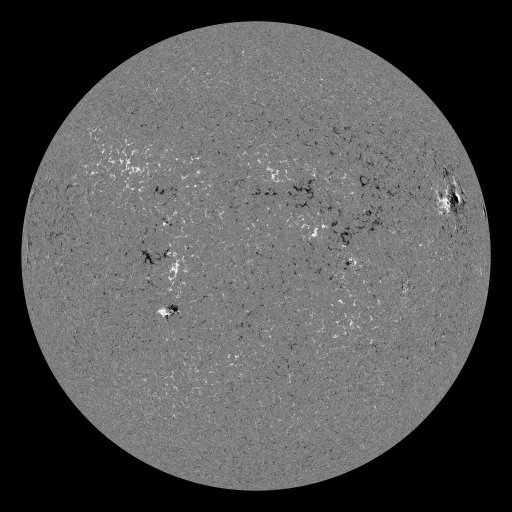 Solar Magnetic Fields