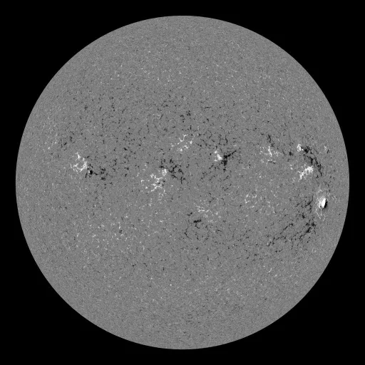 Solar Magnetic Fields