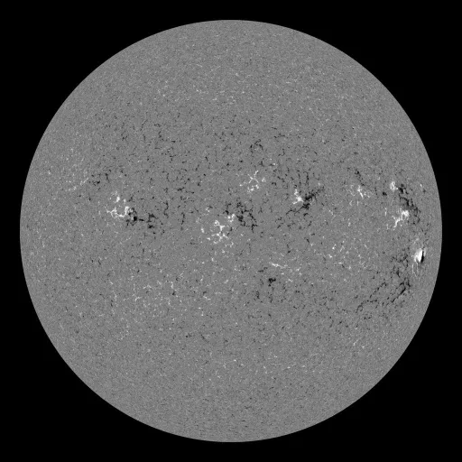 Solar Magnetic Fields