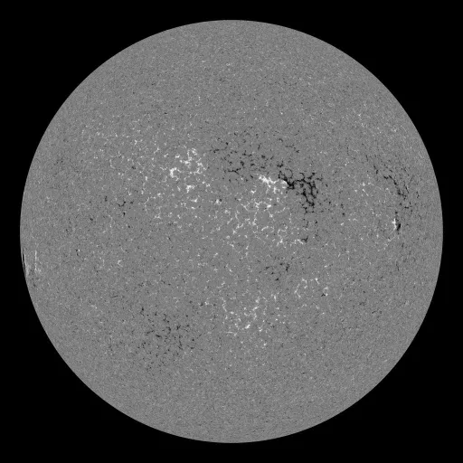 Solar Magnetic Fields