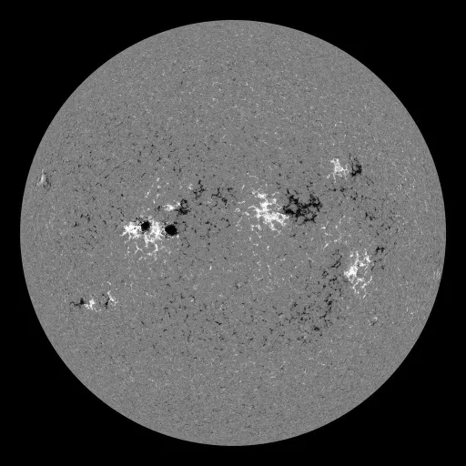 Solar Magnetic Fields