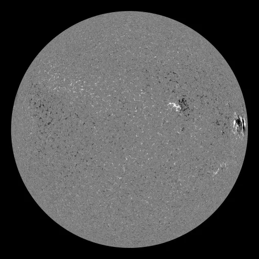Solar Magnetic Fields