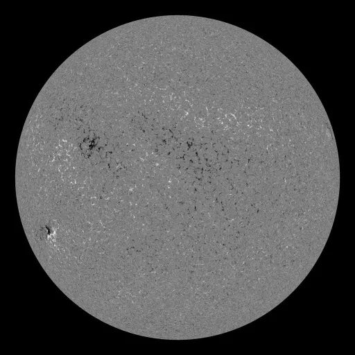 Solar Magnetic Fields