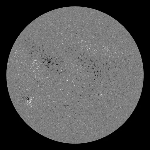 Solar Magnetic Fields