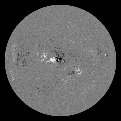 Solar Magnetic Fields