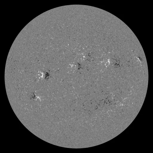 Solar Magnetic Fields