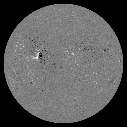 Solar Magnetic Fields