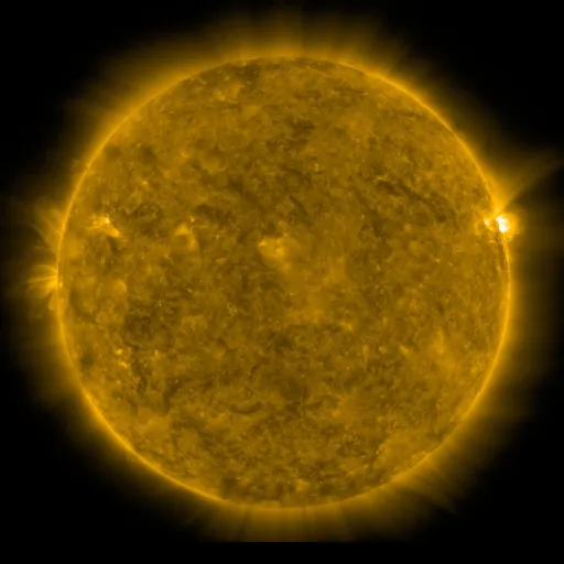 Solar Corona