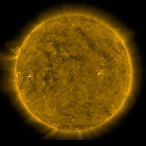 Solar Corona