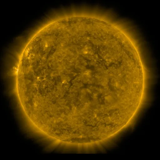 Solar Corona