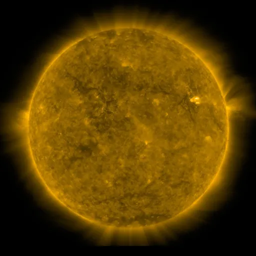Solar Corona