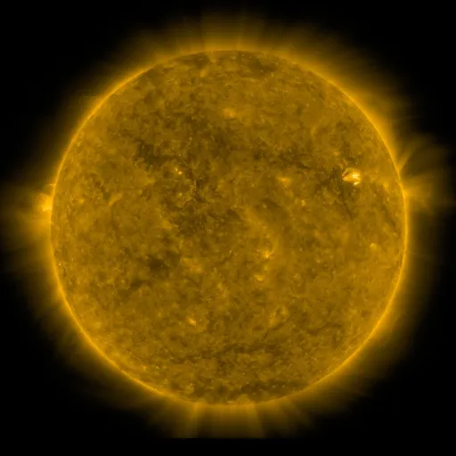 Solar Corona