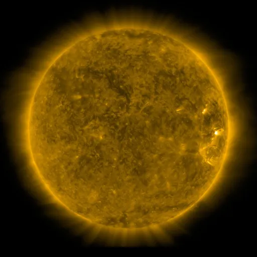 Solar Corona