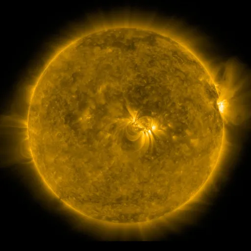 Solar Corona