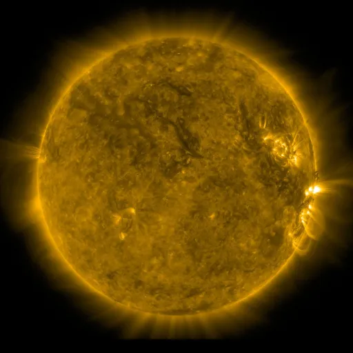 Solar Corona