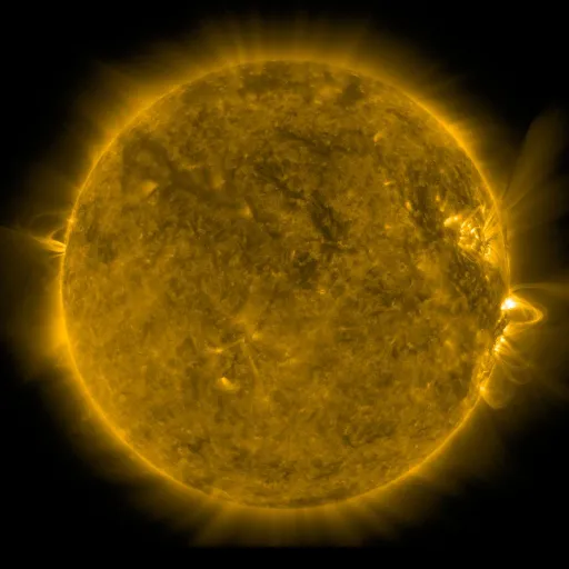 Solar Corona