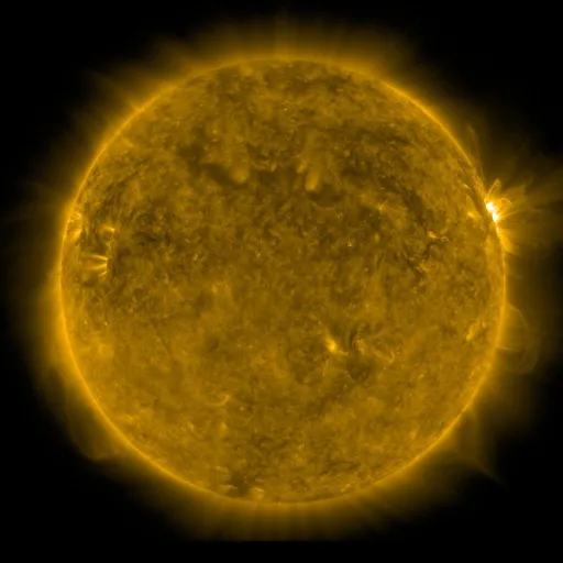 Solar Corona