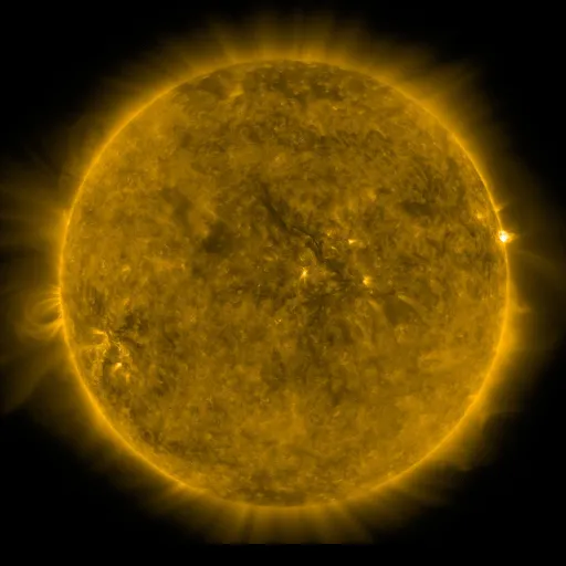 Solar Corona