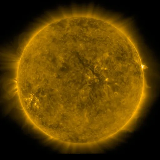 Solar Corona