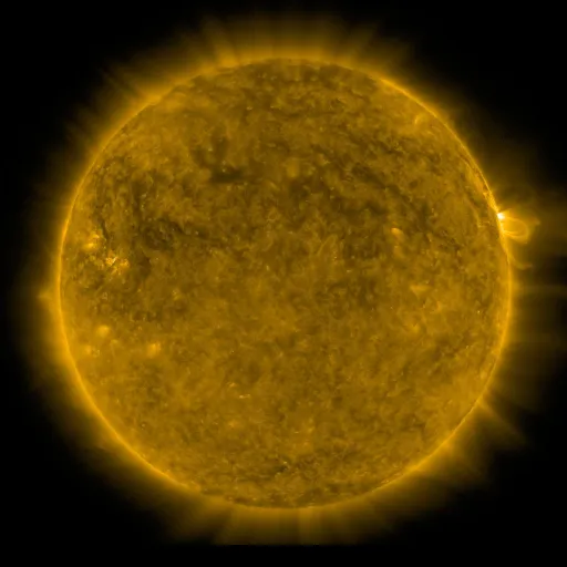 Solar Corona