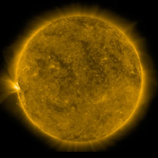 Solar Corona