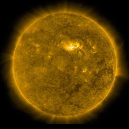 Solar Corona