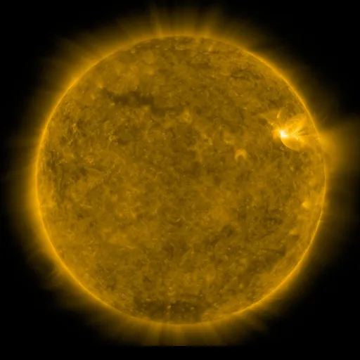 Solar Corona