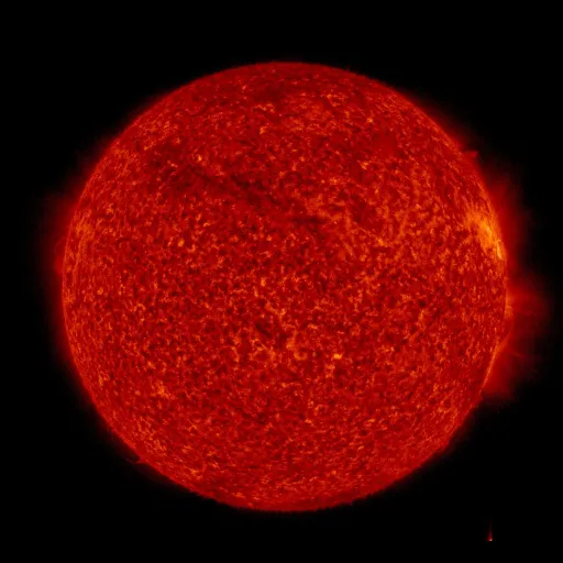 Solar transition region