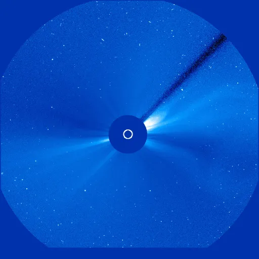 Дальняя корона Солнца