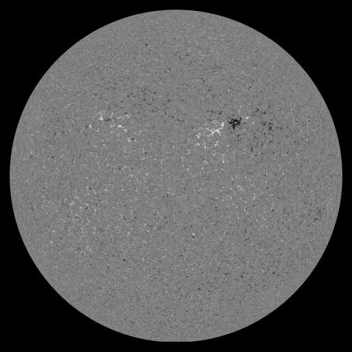 Solar Magnetic Fields