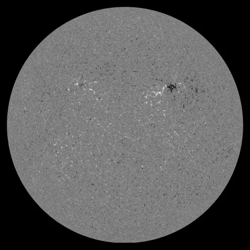 Solar Magnetic Fields
